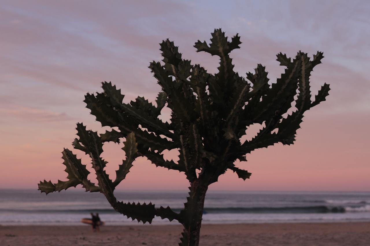 Cerritos Beach Hotel Desert Moon El Pescadero  Eksteriør bilde